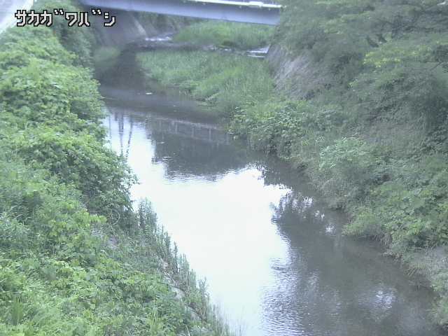 2026年06月21日19時00分の映像