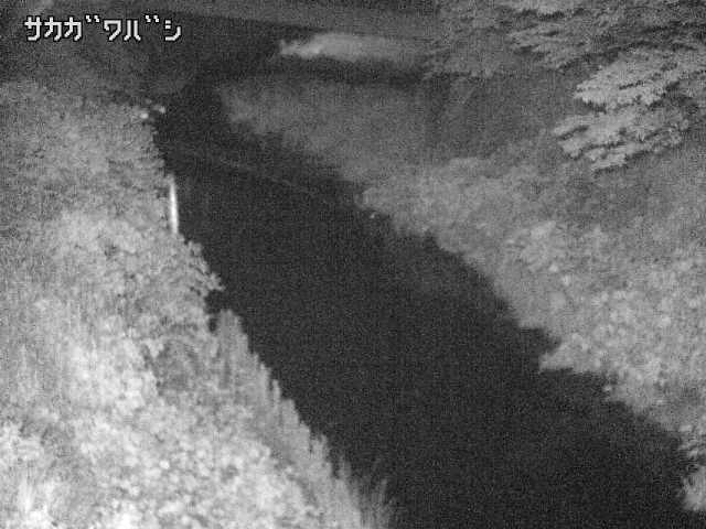 2026年06月21日20時00分の映像