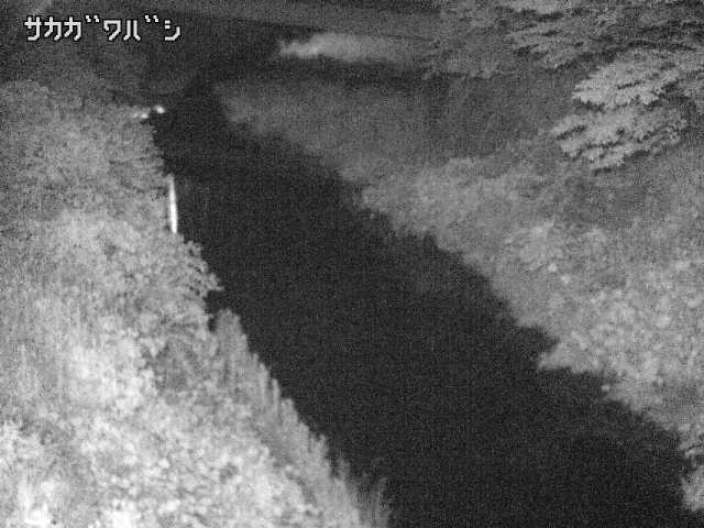 2026年06月21日21時00分の映像