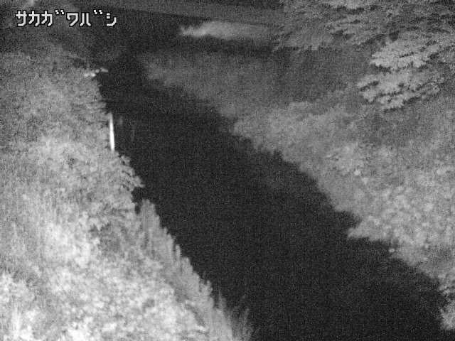 2026年06月21日22時00分の映像