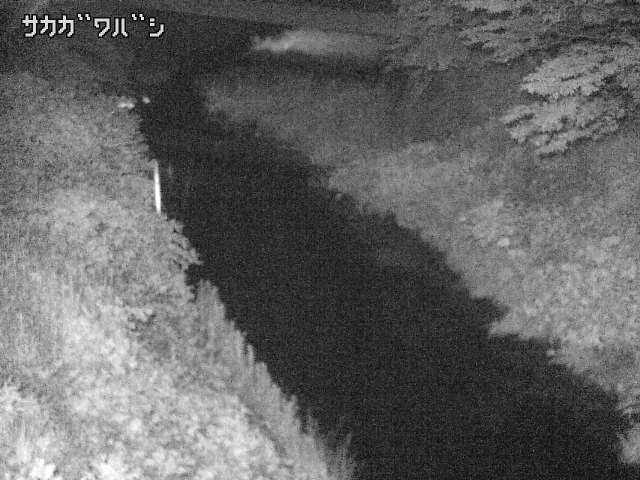 2026年06月22日01時00分の映像