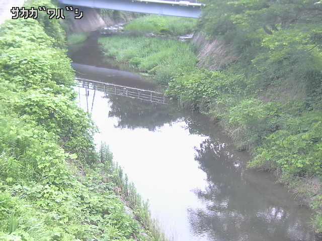 2026年06月22日05時00分の映像