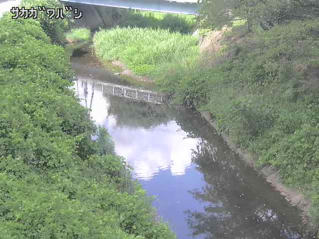 2026年08月07日14時00分の映像