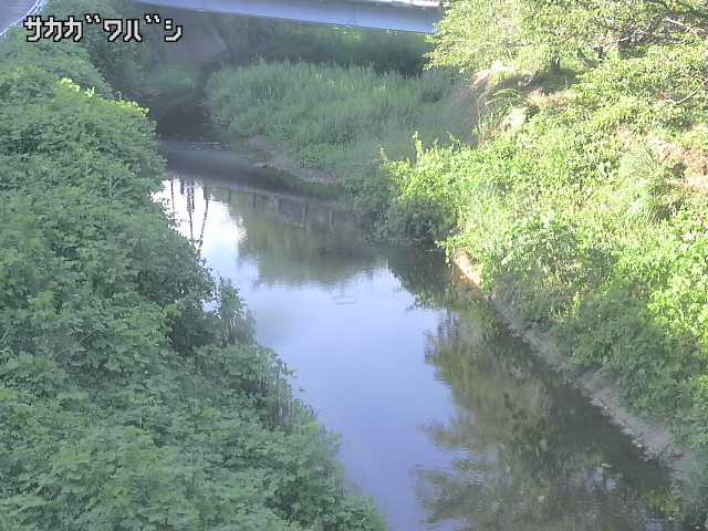 2026年08月07日16時00分の映像