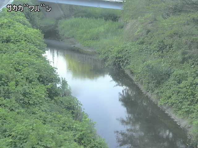 2026年08月07日17時00分の映像