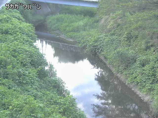 2026年08月07日18時00分の映像