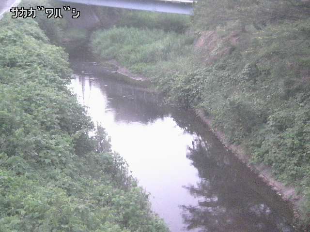 2026年08月07日19時00分の映像