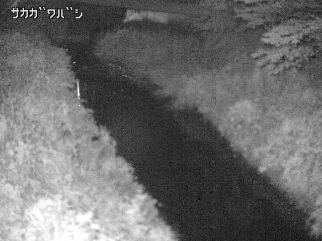 2026年08月07日21時00分の映像