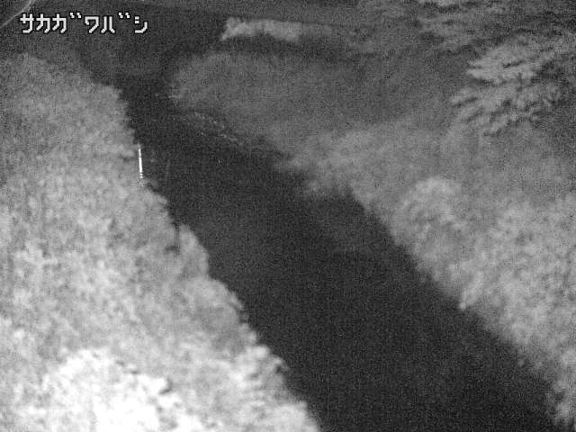 2026年08月08日01時00分の映像