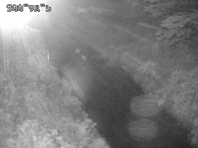 2026年08月08日02時00分の映像