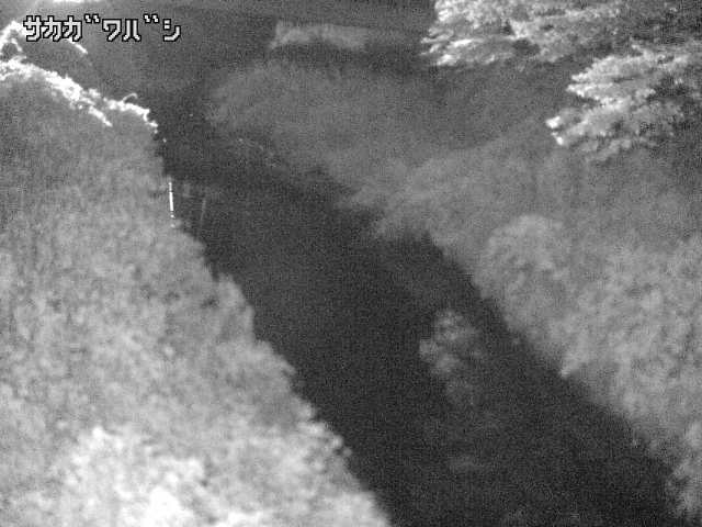 2026年08月08日03時00分の映像