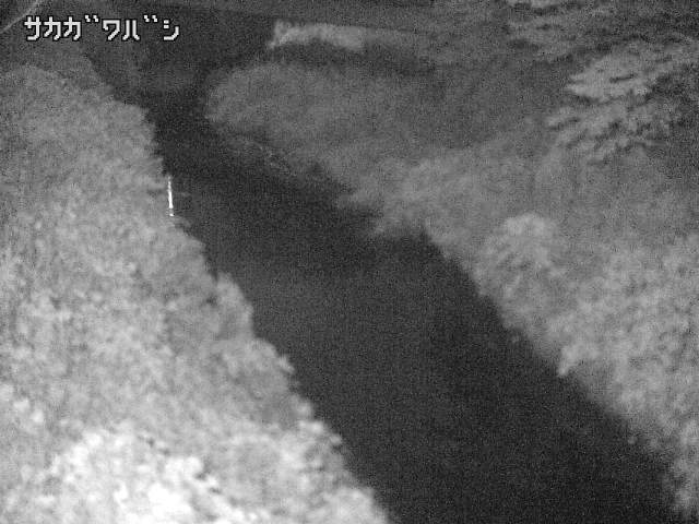 2026年08月08日04時00分の映像