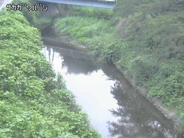 2026年08月08日05時00分の映像