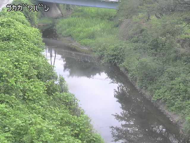 2026年08月08日07時00分の映像