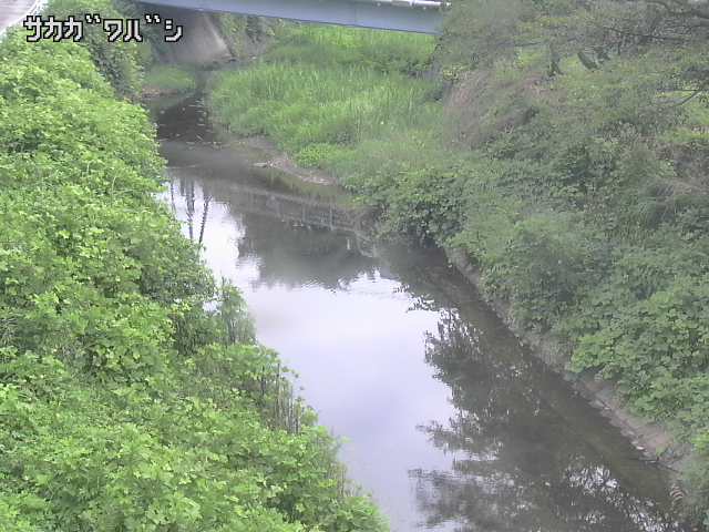 2026年08月08日08時00分の映像