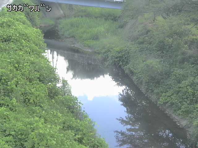 2026年08月08日09時00分の映像