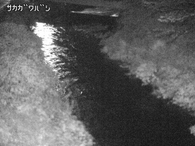 2026年09月22日03時00分の映像