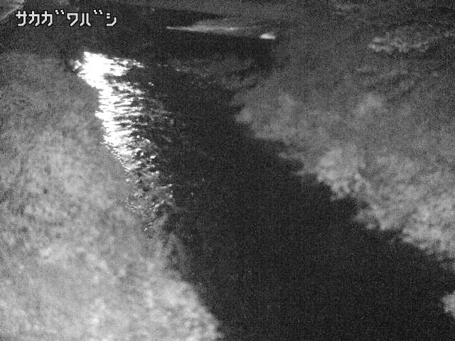 2026年09月22日04時00分の映像