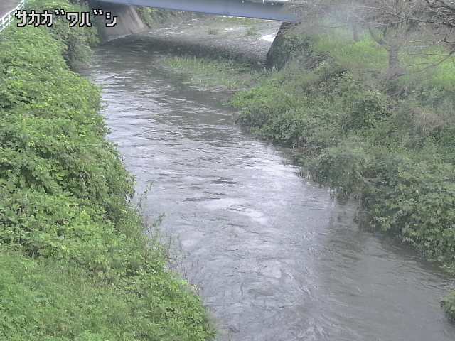 2026年09月22日08時00分の映像
