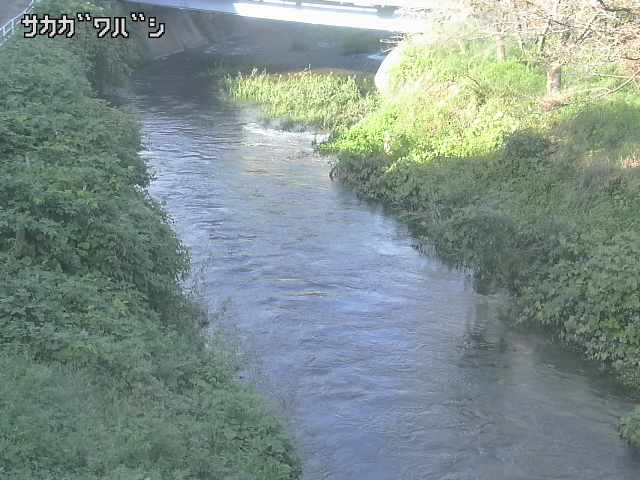 2026年09月22日15時00分の映像
