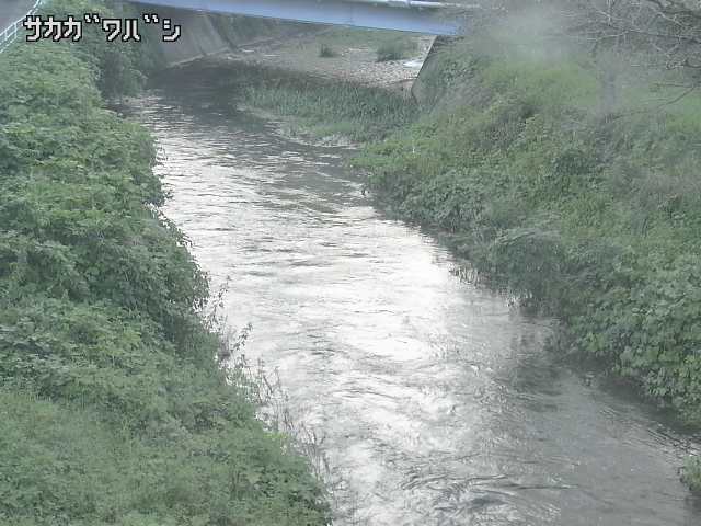 2026年09月22日16時00分の映像