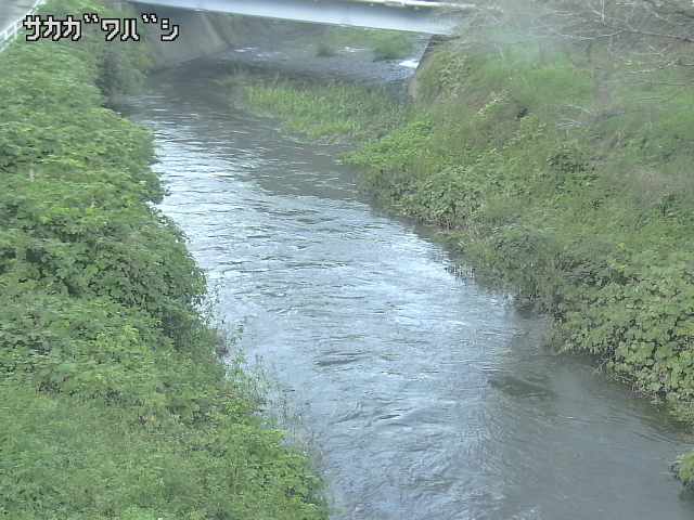 2026年09月22日17時00分の映像