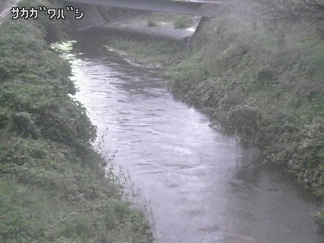 2026年09月22日18時00分の映像