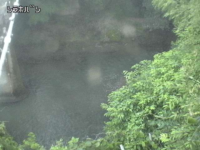 2025年06月16日19時00分の映像