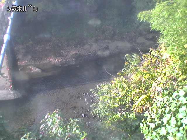 2025年11月05日08時00分の映像