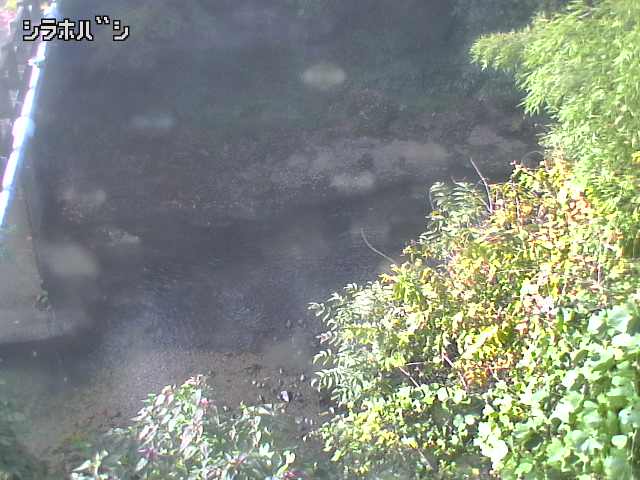 2025年11月05日09時00分の映像