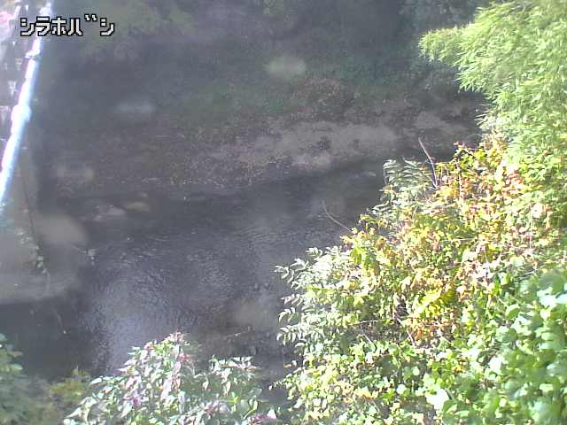 2025年11月05日10時00分の映像