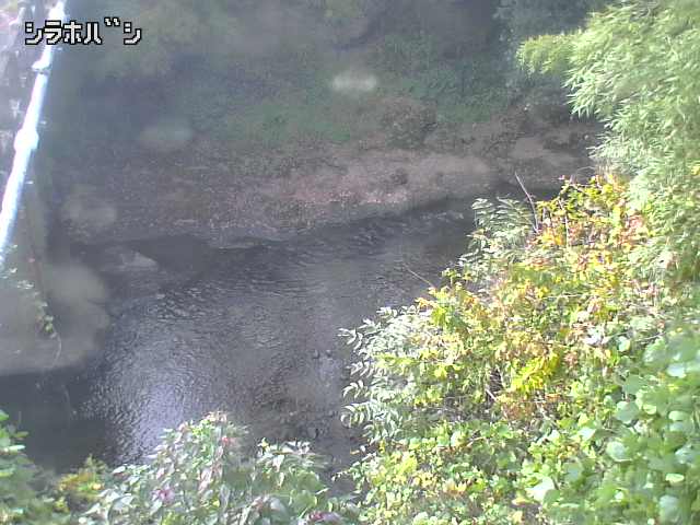 2025年11月05日11時00分の映像