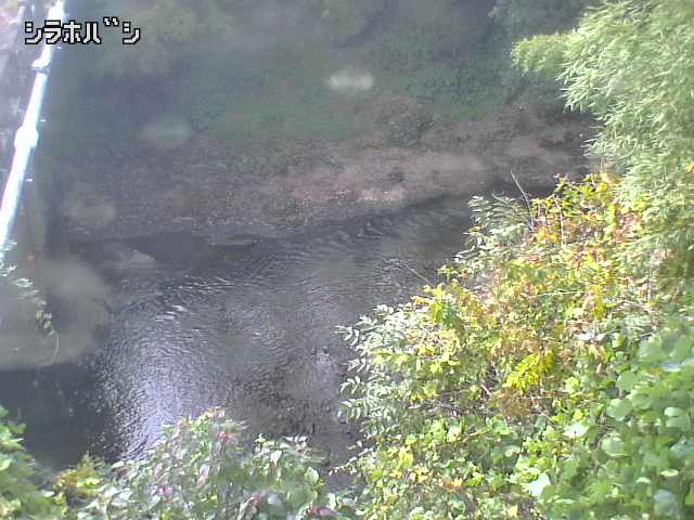 2025年11月05日12時00分の映像