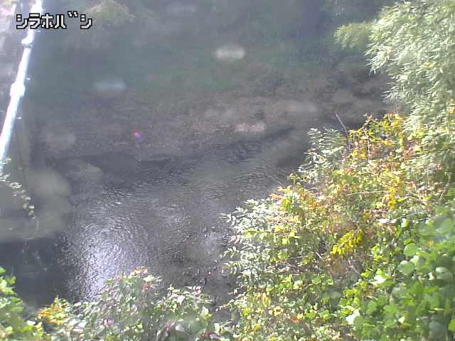 2025年11月05日13時00分の映像