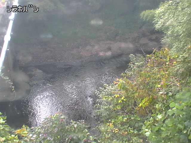 2025年11月05日14時00分の映像