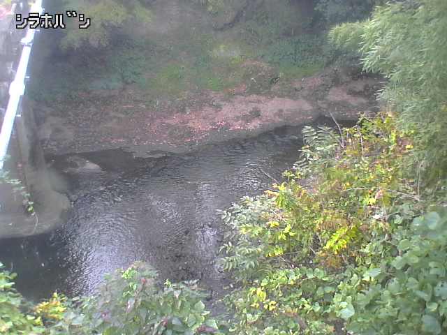 2025年11月05日15時00分の映像