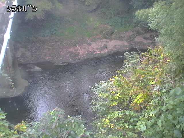 2025年11月05日16時00分の映像