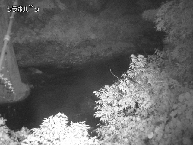 2025年11月05日17時00分の映像