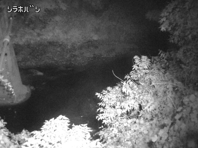 2025年11月05日19時00分の映像