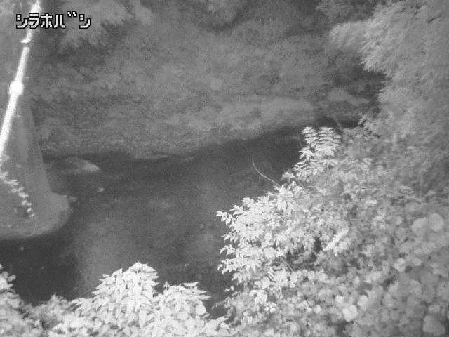 2025年11月06日06時00分の映像