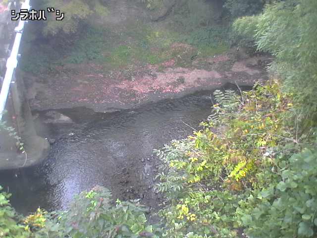 2025年11月06日07時00分の映像