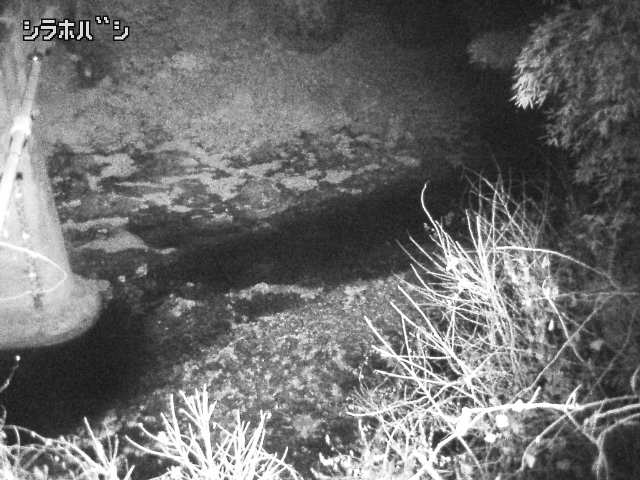 2025年12月16日04時00分の映像