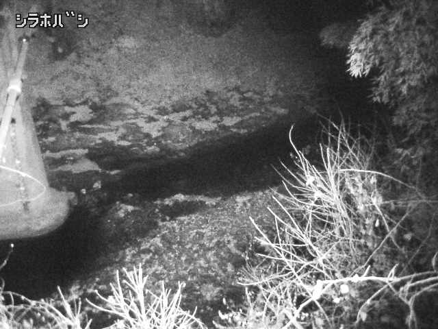 2025年12月16日05時00分の映像