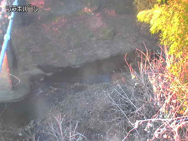 2025年12月16日07時00分の映像