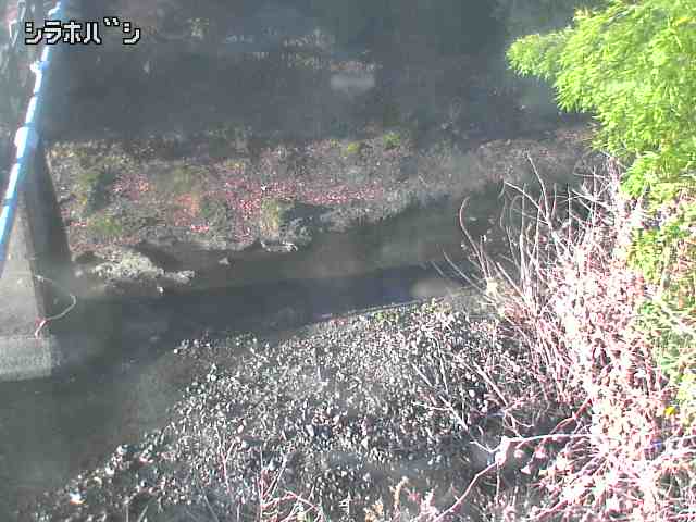 2025年12月16日08時00分の映像