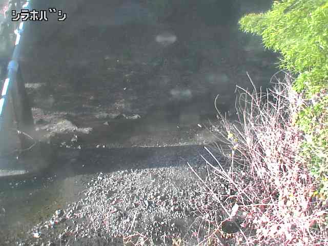 2025年12月16日09時00分の映像