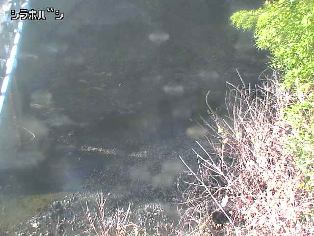 2025年12月16日10時00分の映像