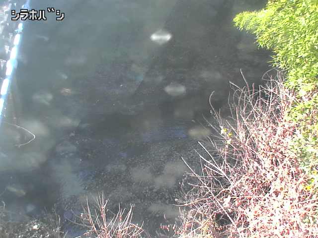 2025年12月16日11時00分の映像