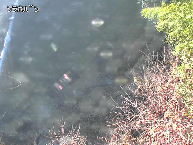 2025年12月16日12時00分の映像