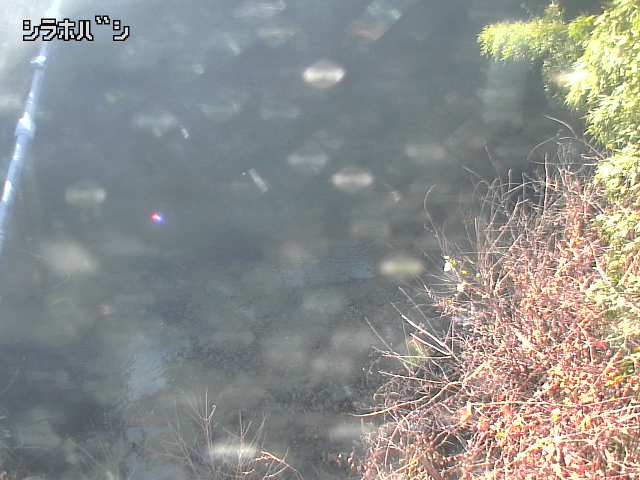 2025年12月16日13時00分の映像